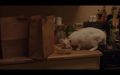 你好，我叫多蕾丝剧照的剧照