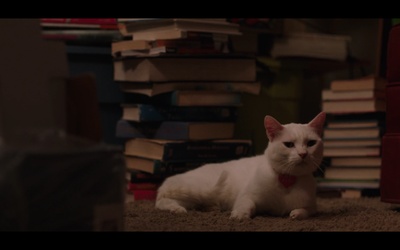 你好，我叫多蕾丝剧照的剧照