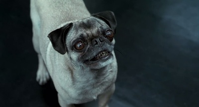 黑衣人2剧照的剧照