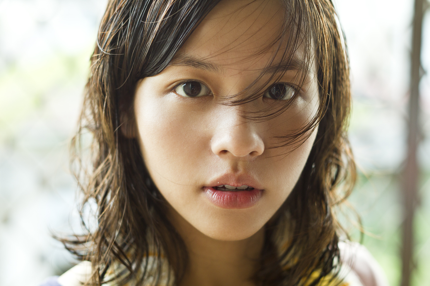 宝米恰恰剧照的剧照