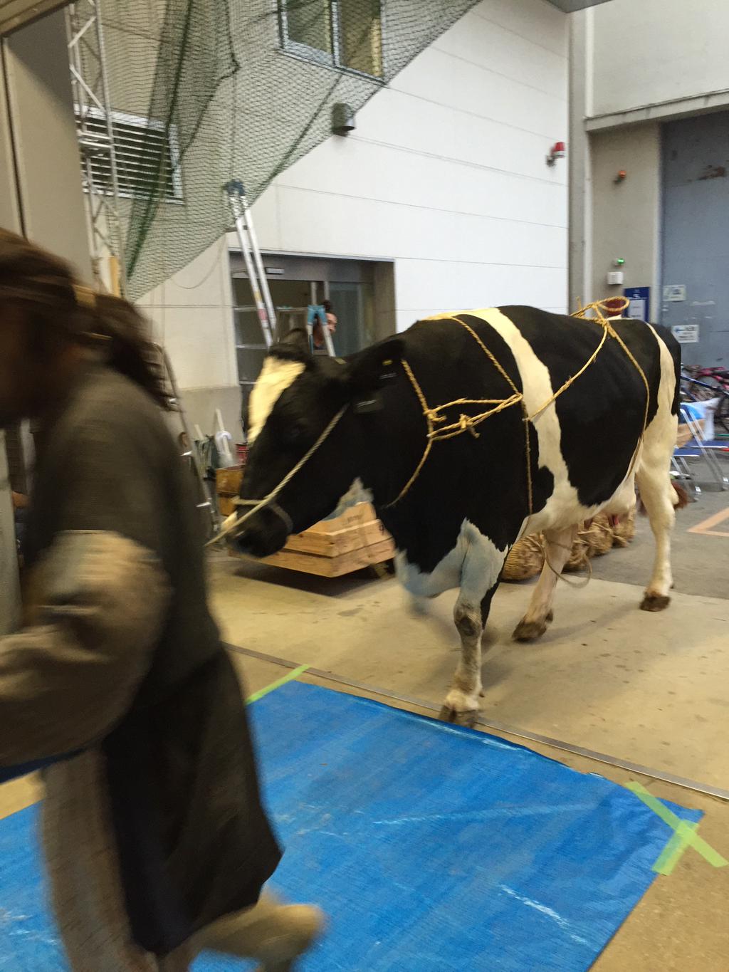 早死早投胎之地狱摇滚篇剧照的剧照