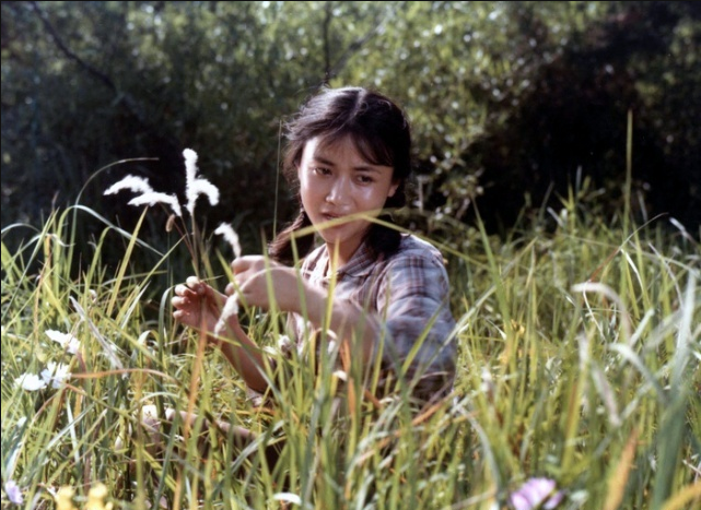 女大学生宿舍剧照的剧照