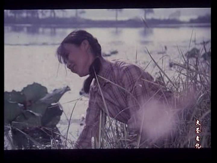 女大学生宿舍剧照的剧照