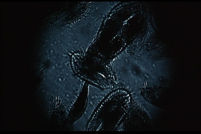 被时间遗忘的土地剧照的剧照