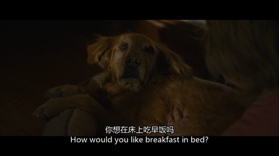 潜伏4：锁命亡灵剧照的剧照