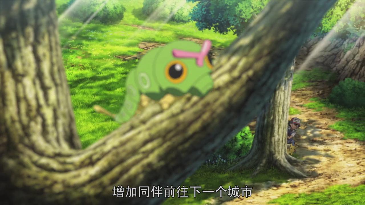 精灵宝可梦：就决定是你了剧照的剧照