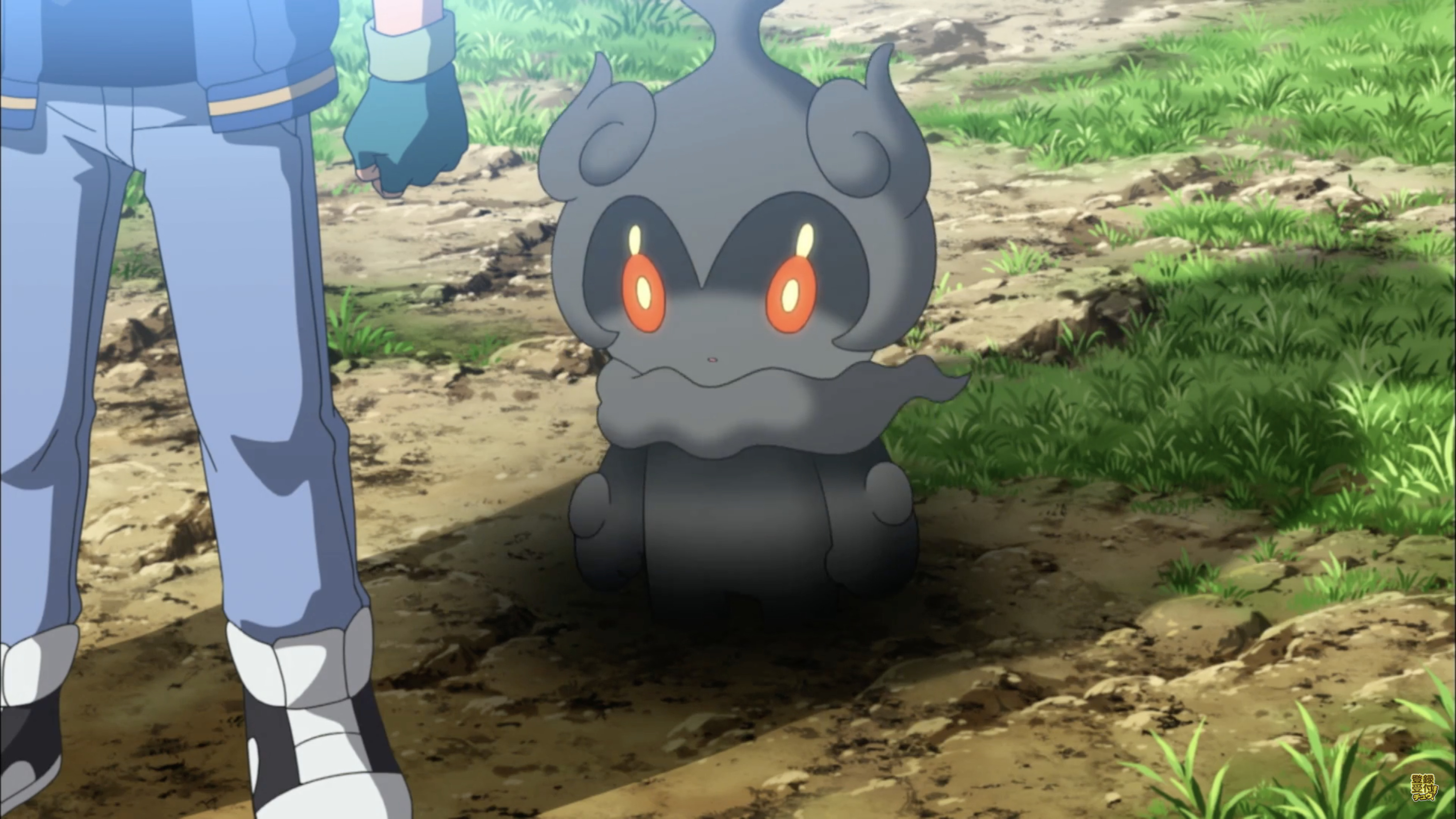 精灵宝可梦：就决定是你了剧照的剧照