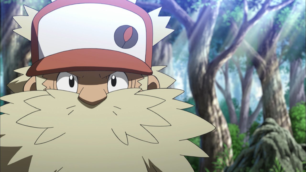 精灵宝可梦：就决定是你了剧照的剧照