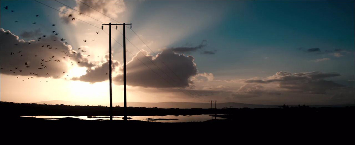 掠杀者剧照的剧照