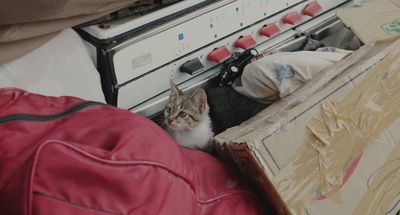 推销员剧照的剧照