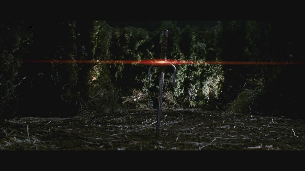 艾丽卡剧照的剧照