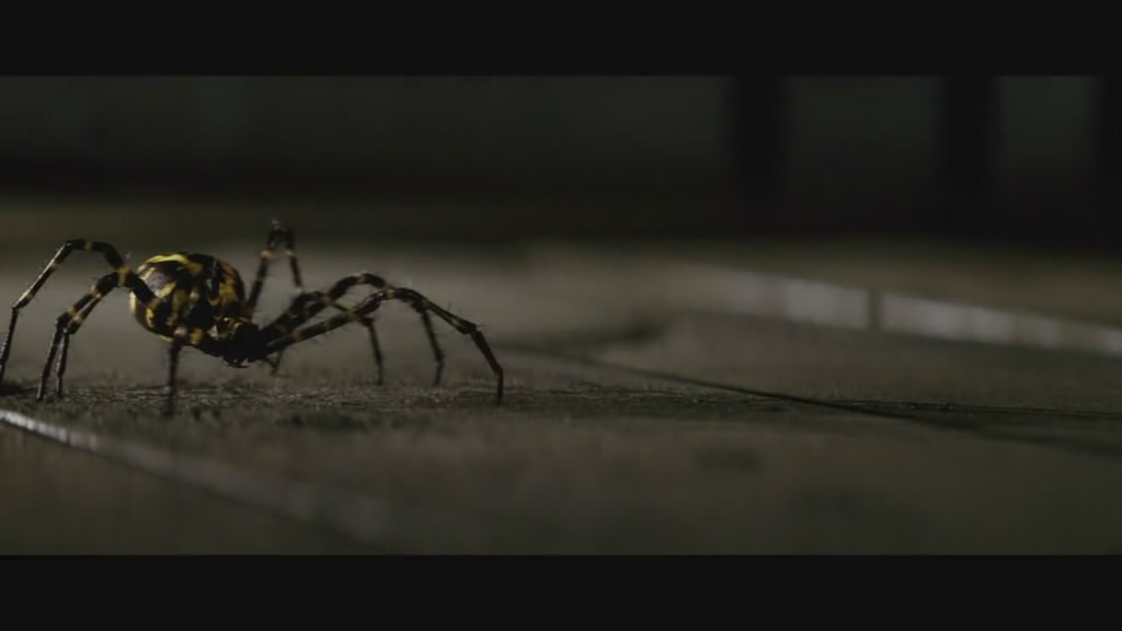 艾丽卡剧照的剧照