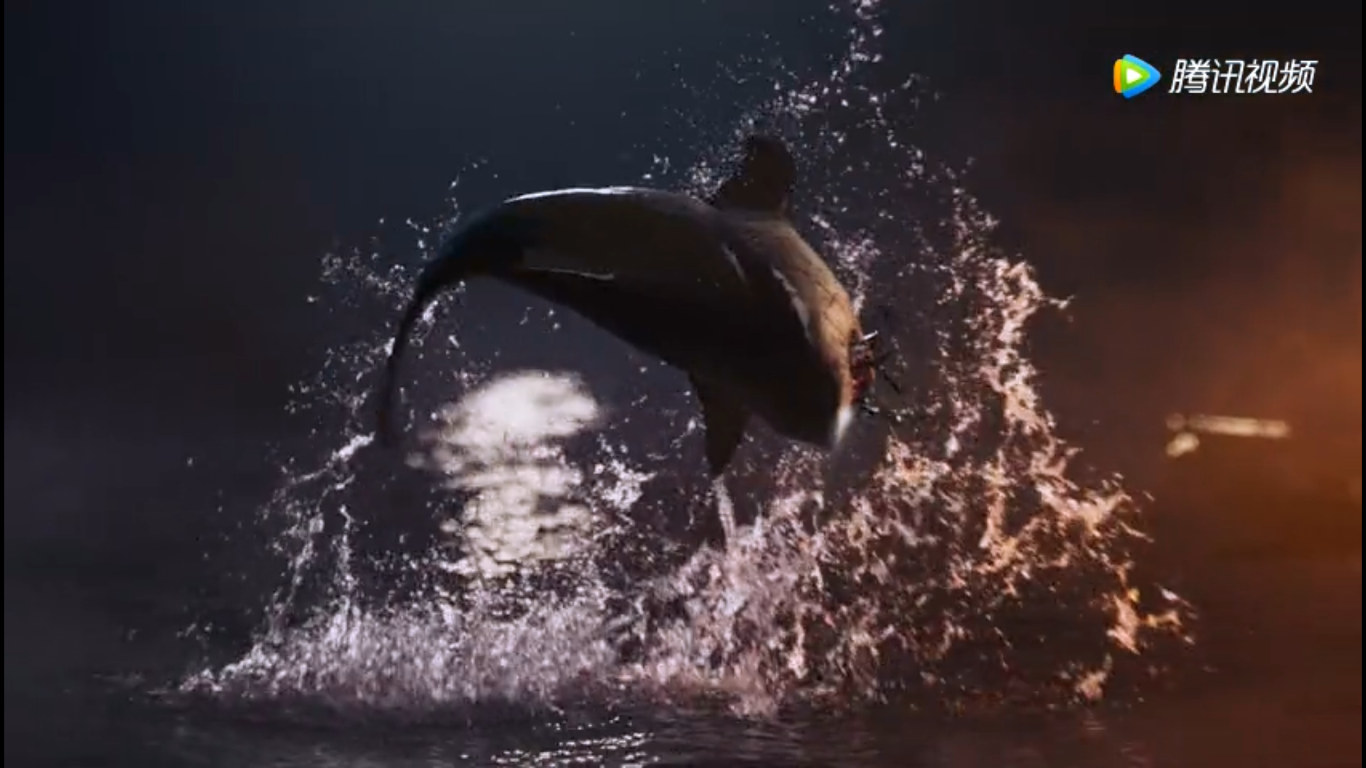 深海狂鲨2剧照的剧照