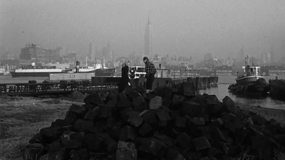 码头风云剧照的剧照