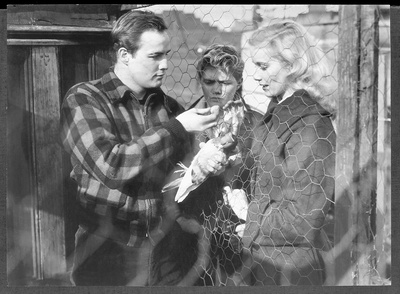 码头风云剧照的剧照