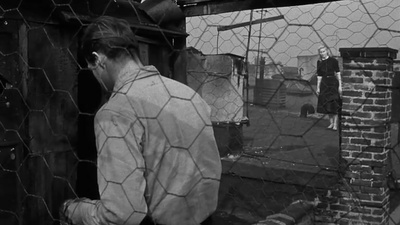 码头风云剧照的剧照