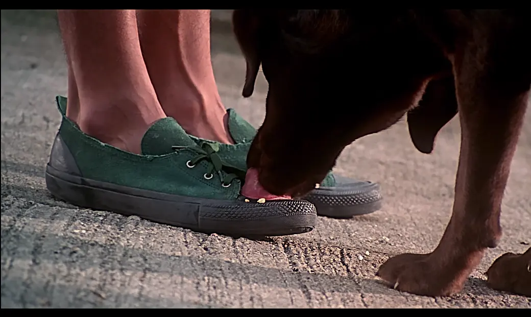 寻找周杰伦剧照的剧照