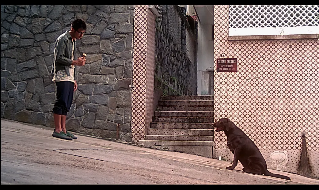 寻找周杰伦剧照的剧照