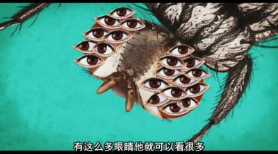 邦邦停不了剧照的剧照