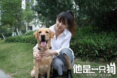 他是一只狗剧照的剧照