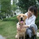 他是一只狗剧照