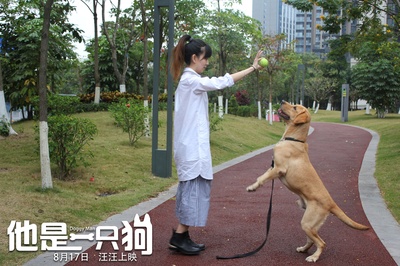 他是一只狗剧照的剧照