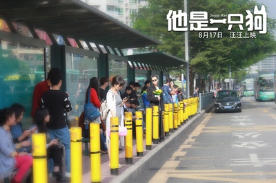 他是一只狗剧照的剧照