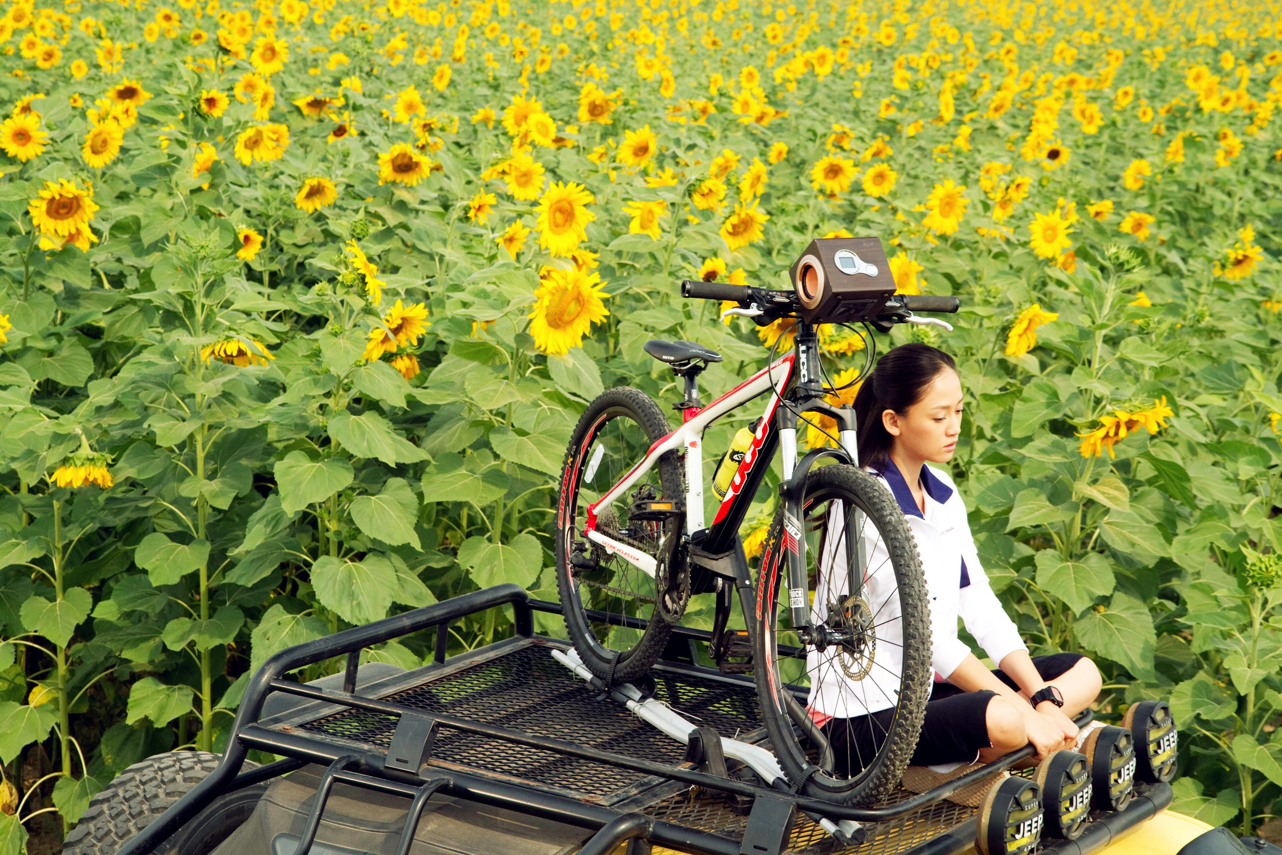 激浪青春剧照的剧照