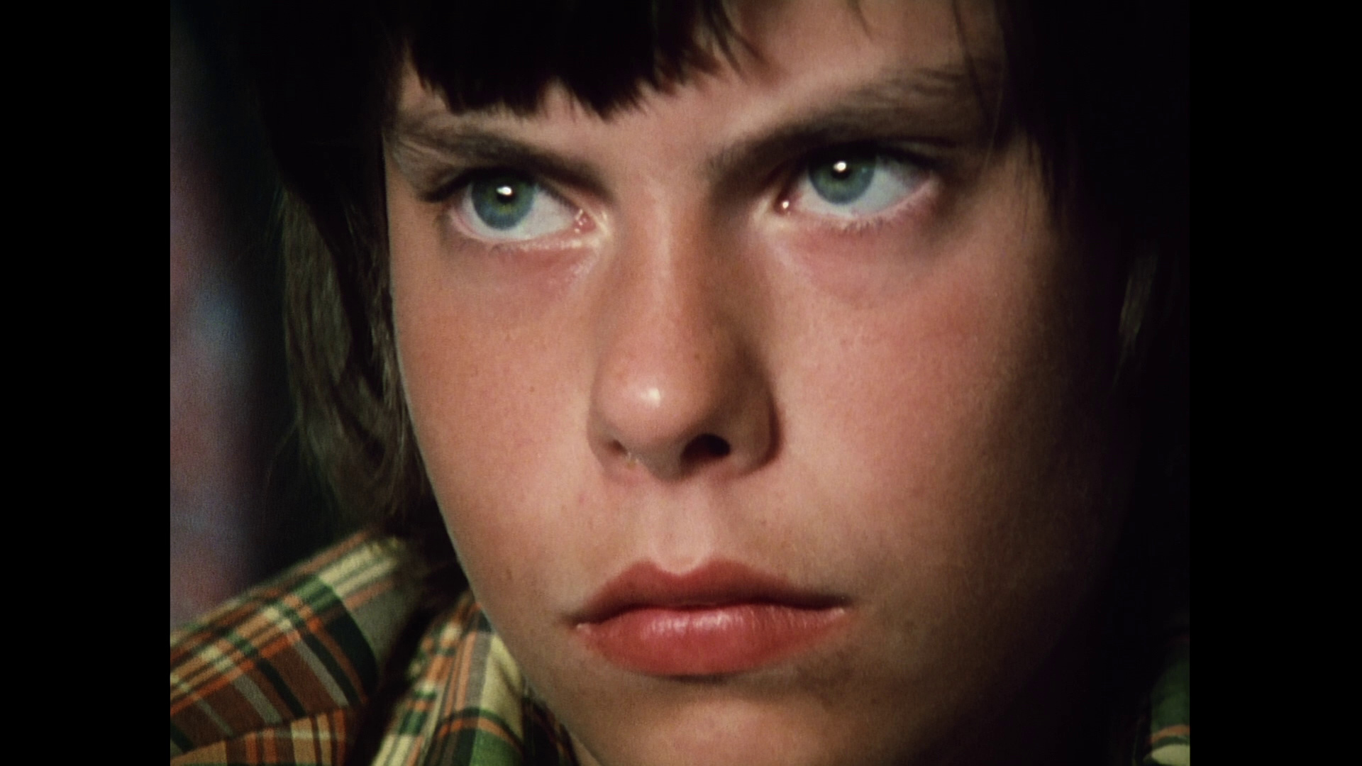 魔笛剧照的剧照