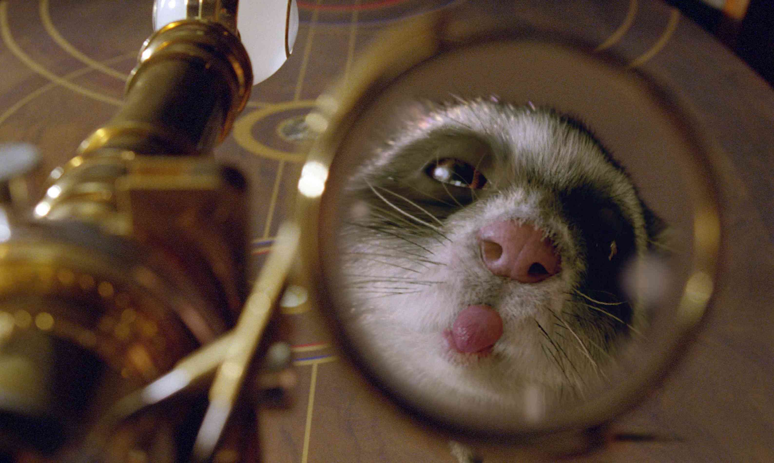 黄金罗盘剧照的剧照