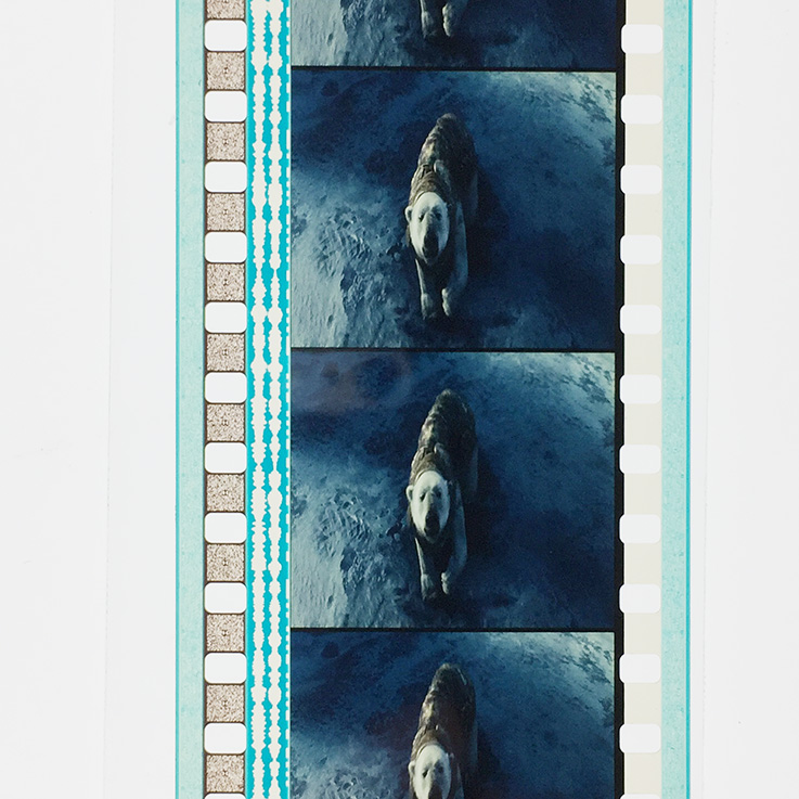 黄金罗盘剧照的剧照