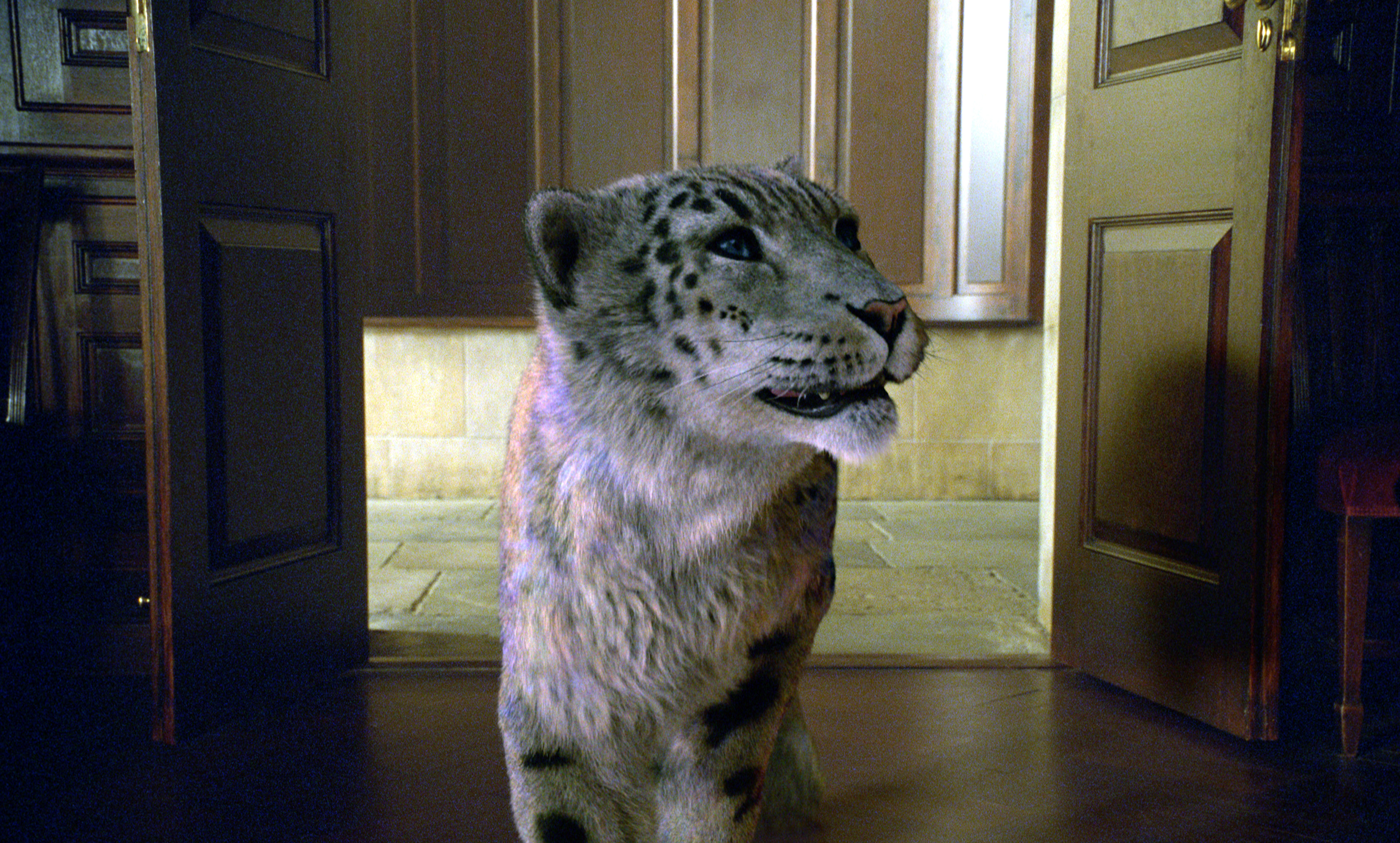 黄金罗盘剧照的剧照