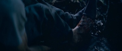 丛林剧照的剧照