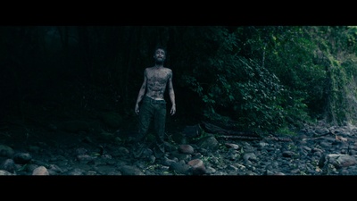 丛林剧照的剧照