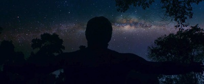 丛林剧照的剧照