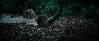 丛林剧照的剧照