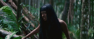 丛林剧照的剧照