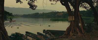 丛林剧照的剧照