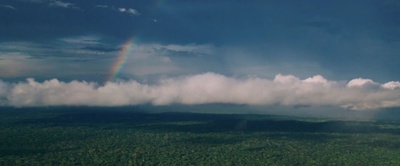 丛林剧照的剧照