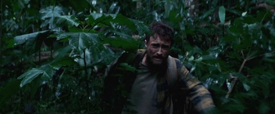 丛林剧照的剧照