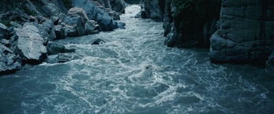 丛林剧照的剧照