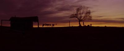 不可饶恕剧照的剧照