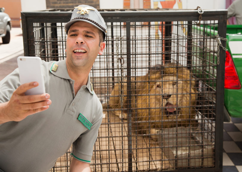 我去哪儿？剧照的剧照