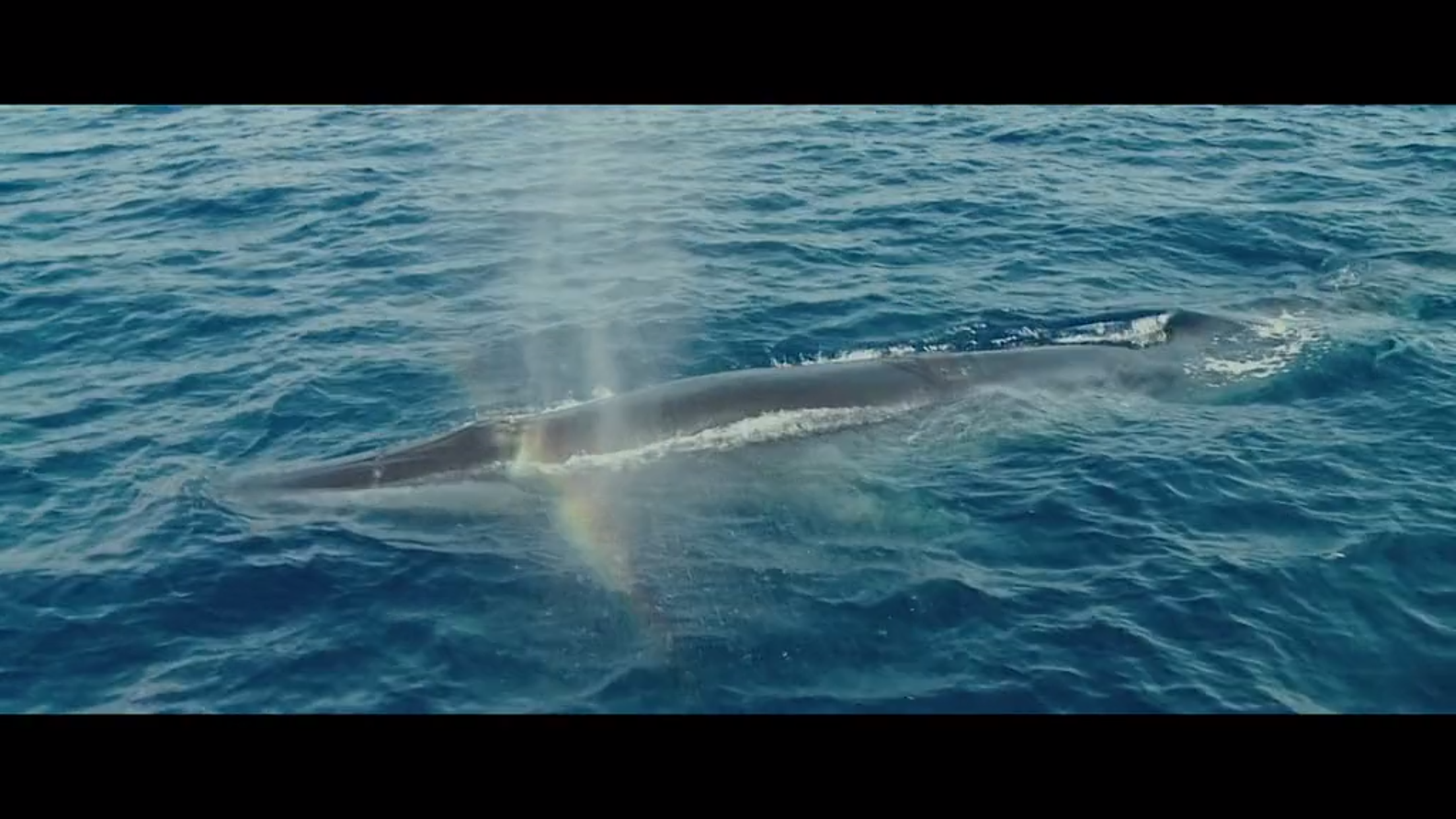 我去哪儿？剧照的剧照