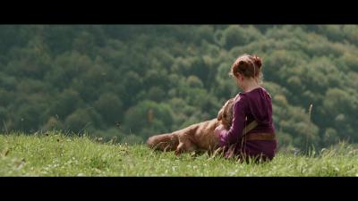 狐狸与我剧照的剧照