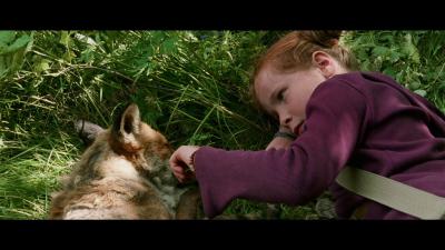 狐狸与我剧照的剧照