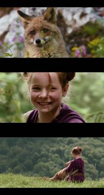 狐狸与我剧照的剧照