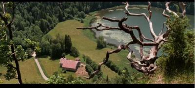 狐狸与我剧照的剧照