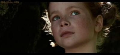 狐狸与我剧照的剧照