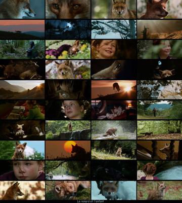 狐狸与我剧照的剧照